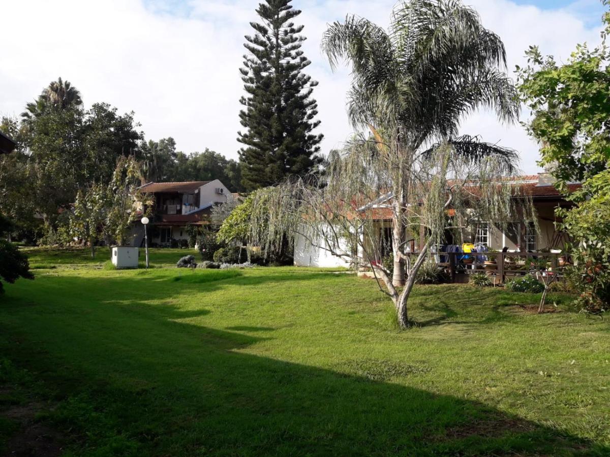 Kibbutz Hatzor A Room Close To Ashdod Hatzor Ashdod Екстериор снимка