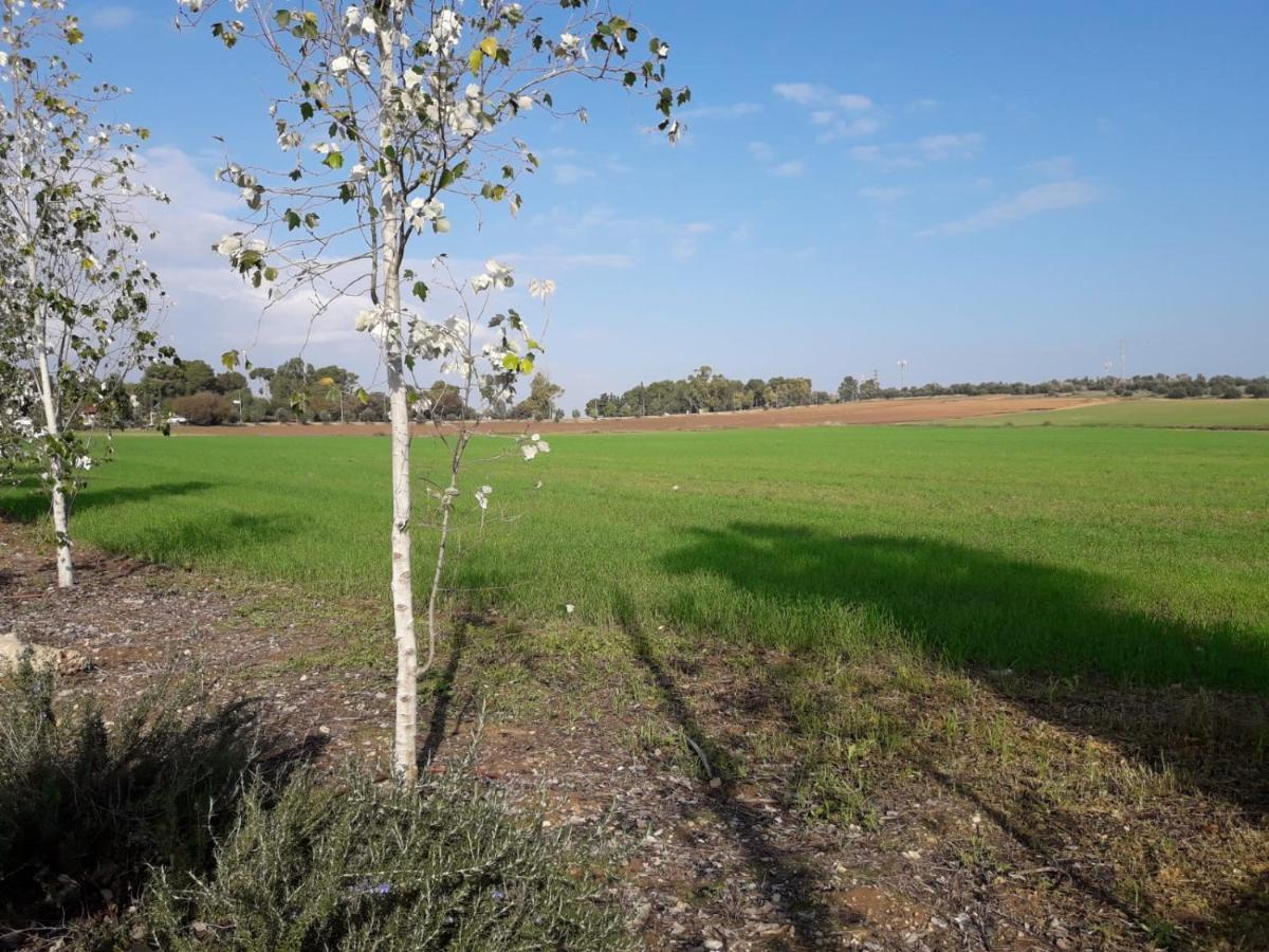 Kibbutz Hatzor A Room Close To Ashdod Hatzor Ashdod Екстериор снимка